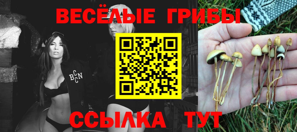 Галлюциногенные грибы мицелий Отрадное