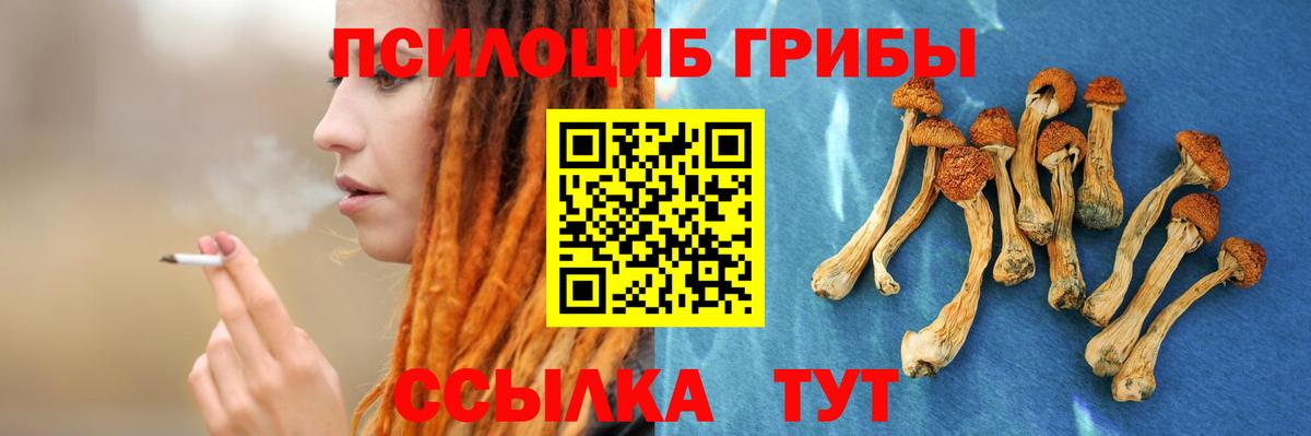 Отрадное  Галлюциногенные грибы Magic Shrooms  Вход с VPN  Псилоцибиновые грибы Magic Shrooms 
